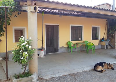 ¿NOS VAMOS A LA HUERTA?